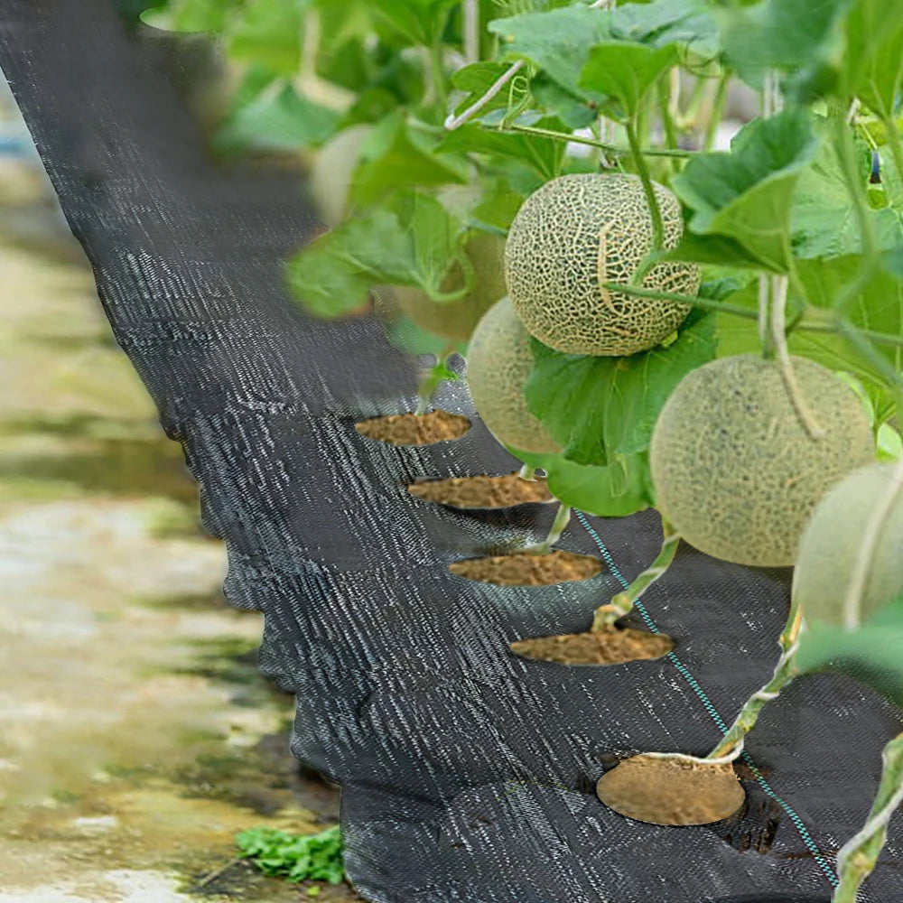 4 ft. x 6 ft. 6 in. Dia Easy-Plant Weed Block for Raised Beds