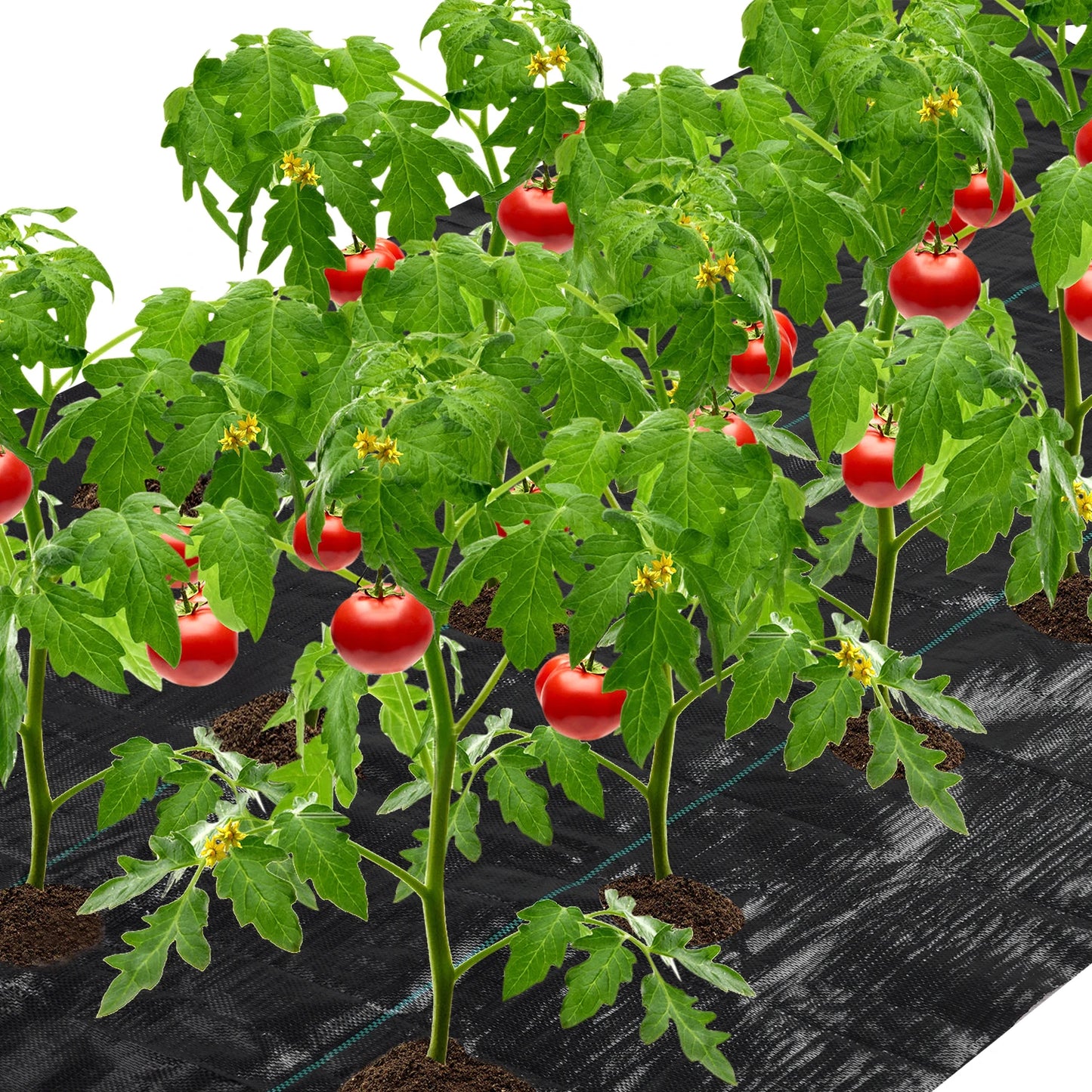 4 ft. x 6 ft. 6 in. Dia Easy-Plant Weed Block for Raised Beds