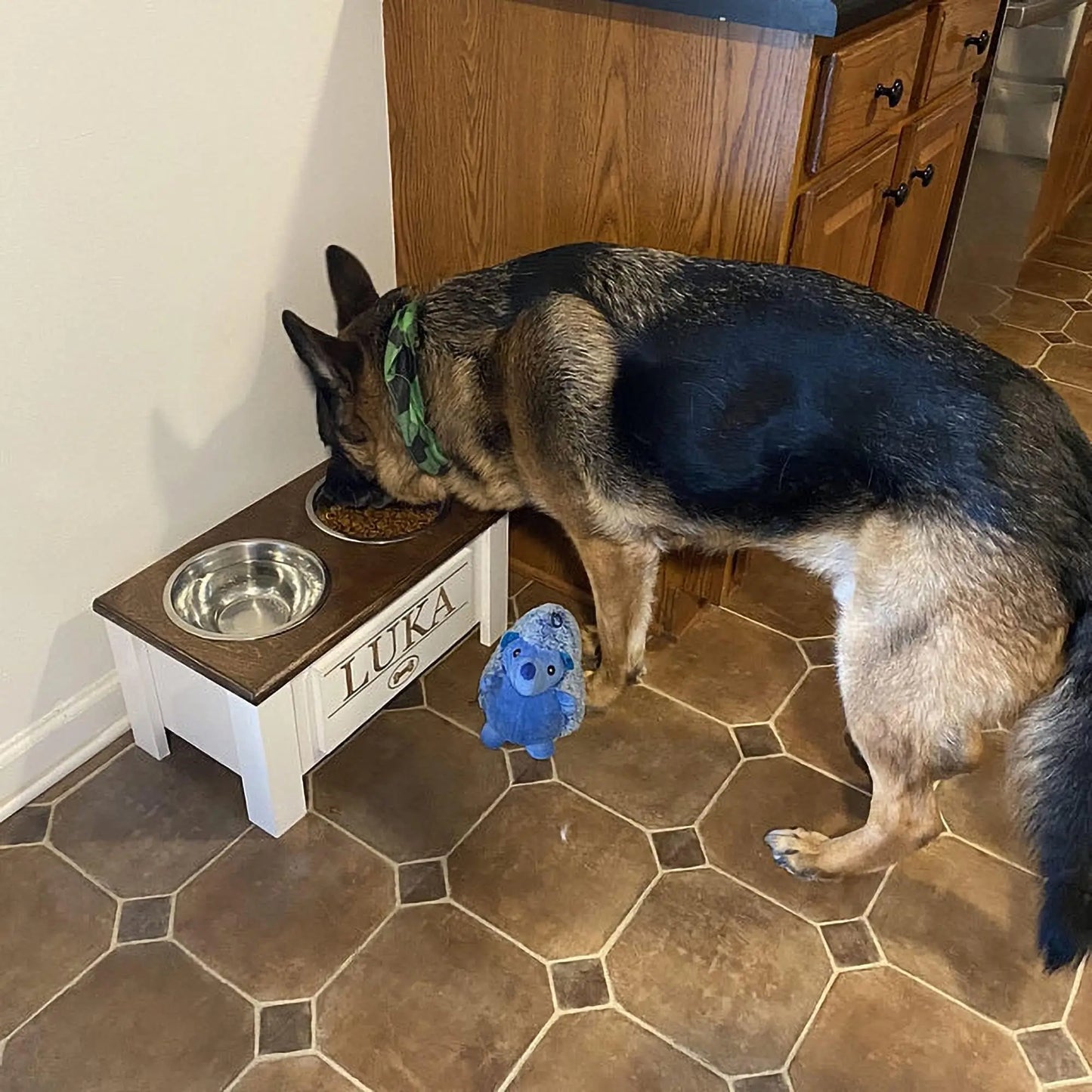 Raised Dog Bowl Stand with Internal Storage