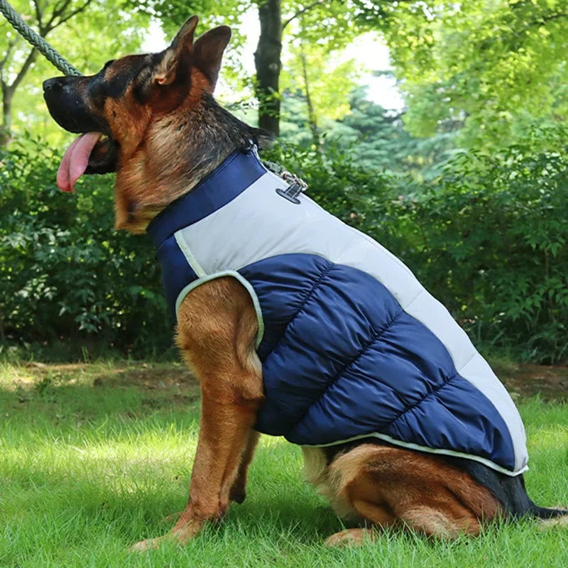 Winter Dog Coat With Reflective Strip