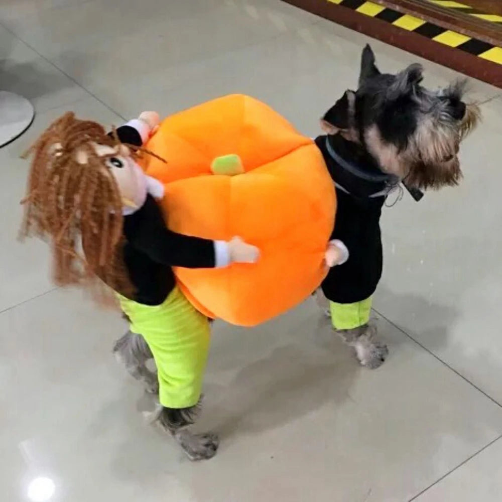 Funny Pet Cosplay Costume