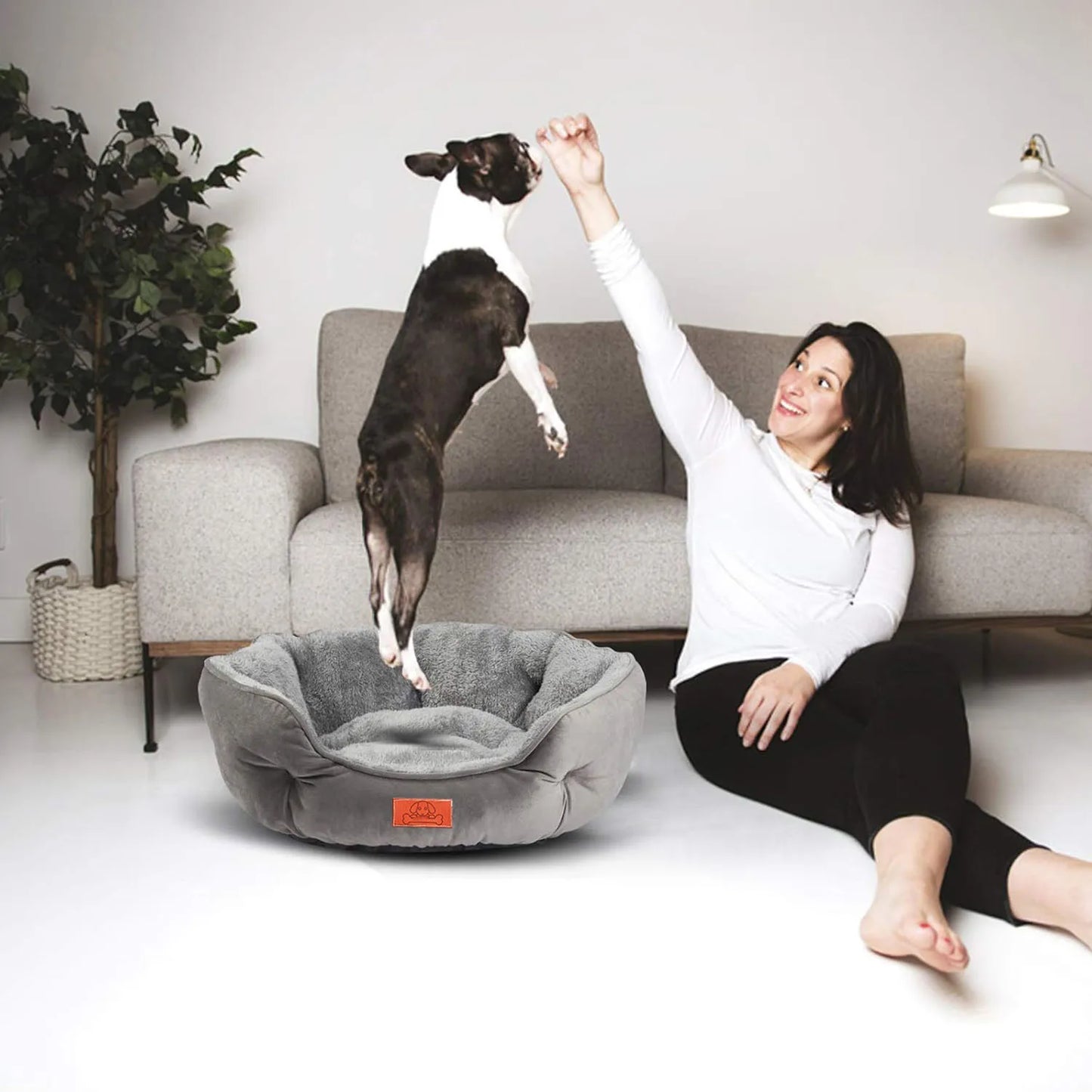 Pet Bed for Small and Large Pets,