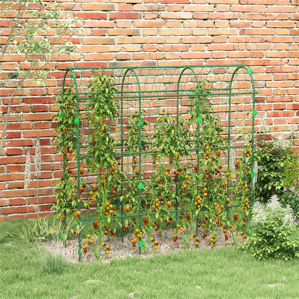 Hign-concerned Arch Garden Trellis With Climbing Net