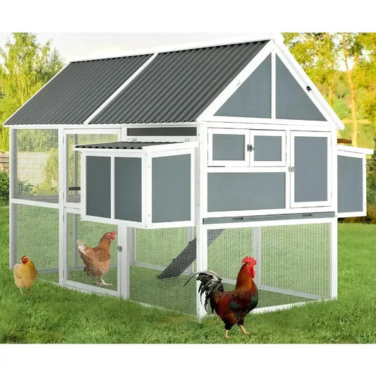 Large Chicken Coop, for 8-10 with Run