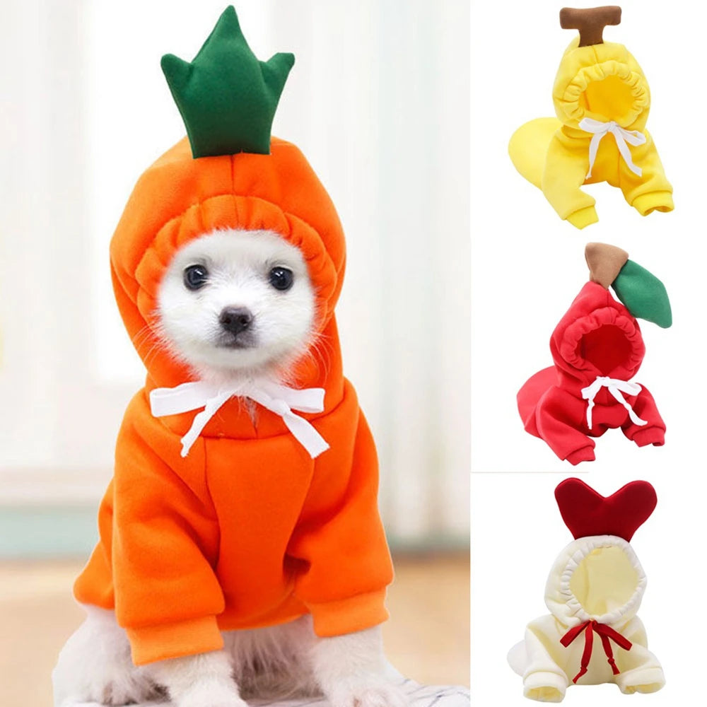 Fall Pet Plush Coat Hoodies