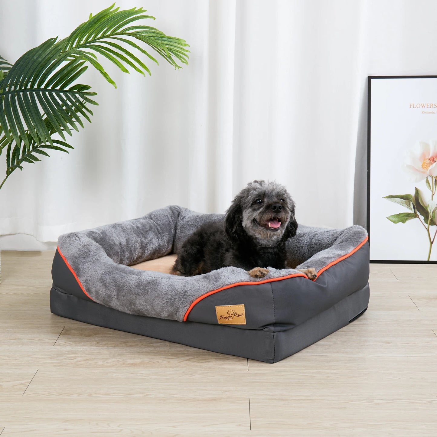 BINGOPAW Orthopedic Foam Dog Bed with Removable Cover