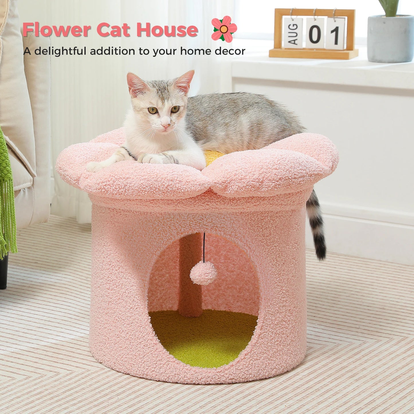 Cat Bed for Indoor Cats