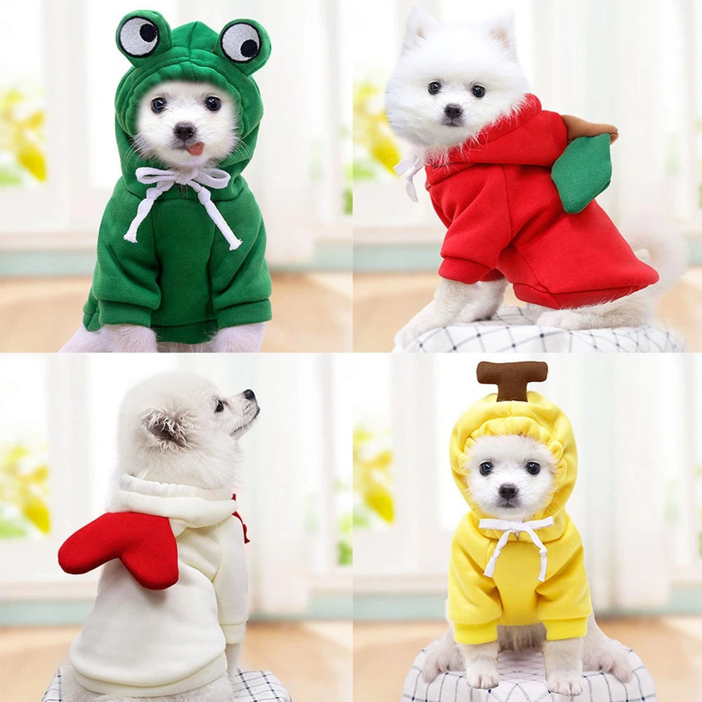 Fall Pet Plush Coat Hoodies