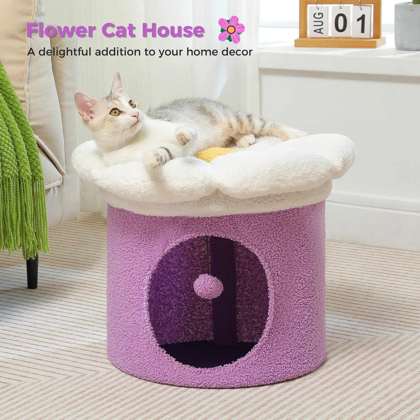 PAWZ Road Indoor Large Cat House With Removable Bed