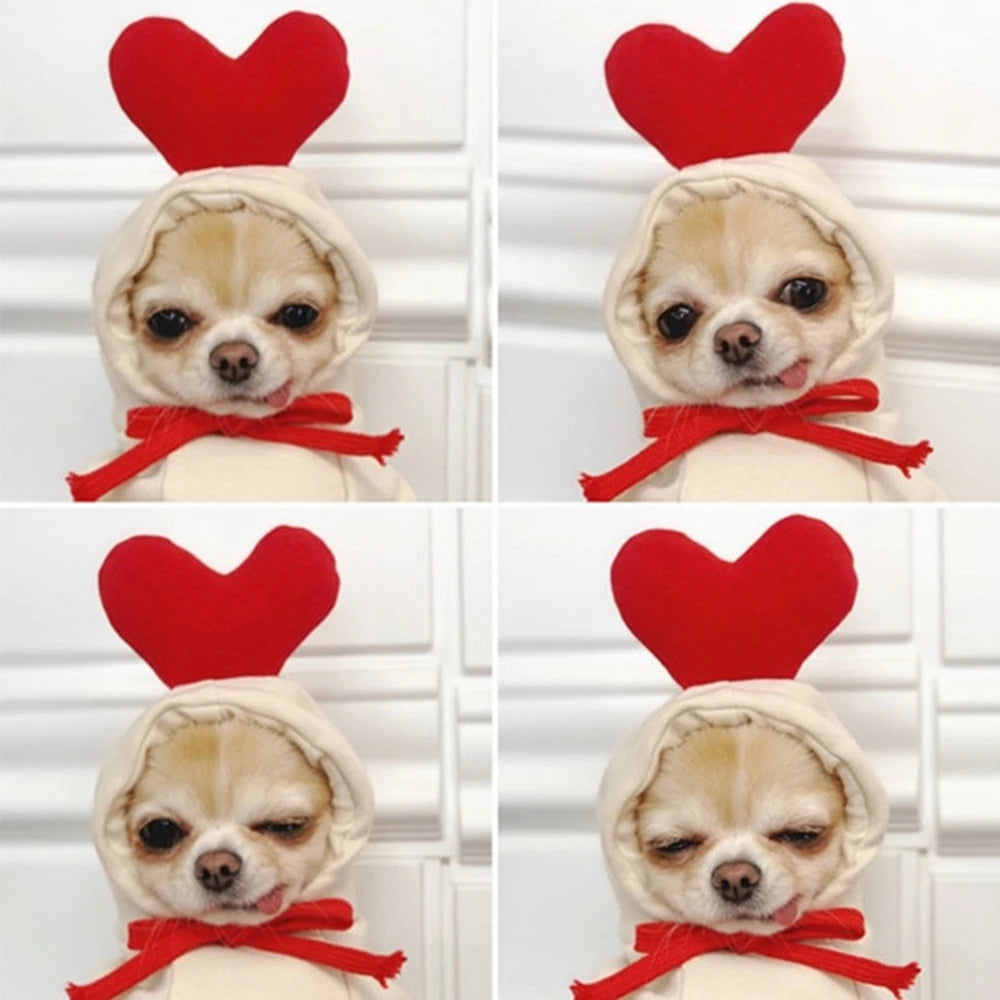 Fall Pet Plush Coat Hoodies