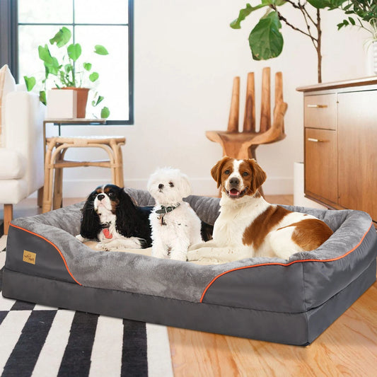 BINGOPAW Orthopedic Foam Dog Bed with Removable Cover