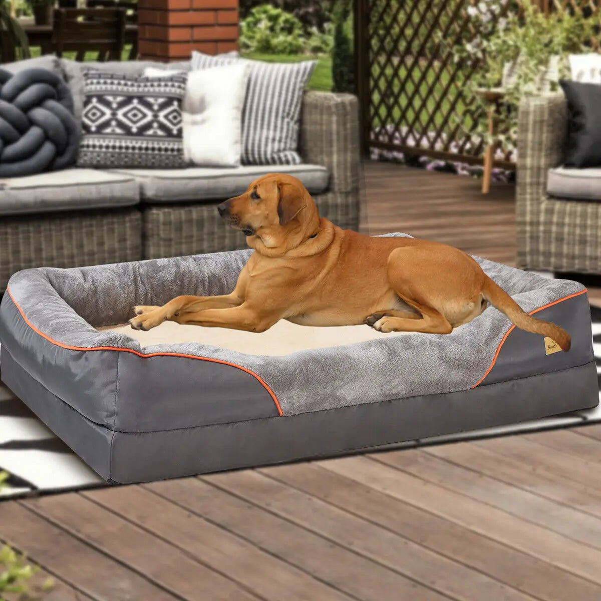 BINGOPAW Orthopedic Foam Dog Bed with Removable Cover
