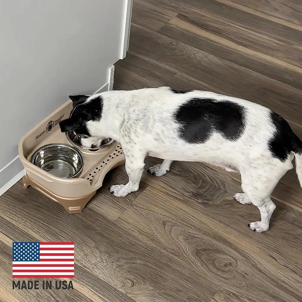 Mess-Proof Elevated Dog Bowls For Small Breeds