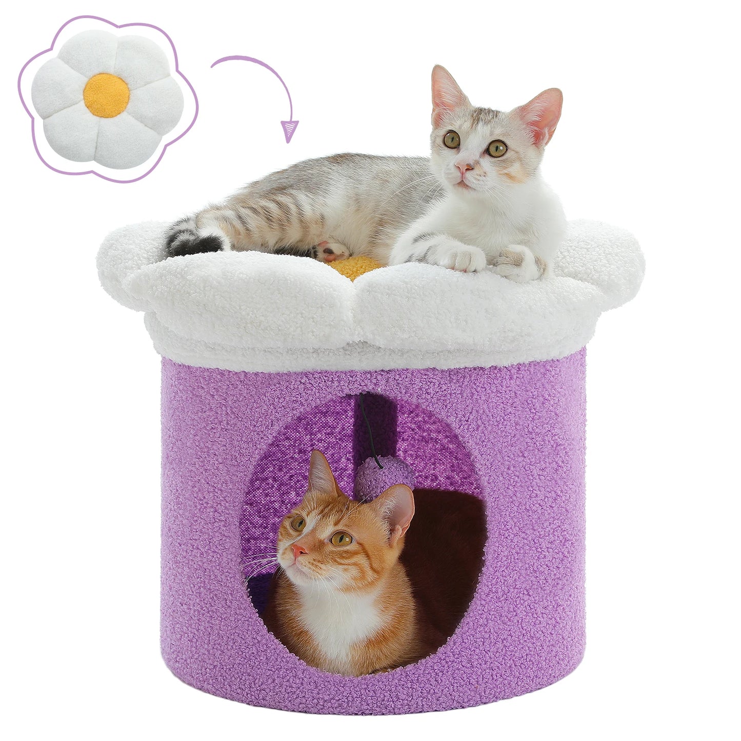 PAWZ Road Indoor Large Cat House With Removable Bed